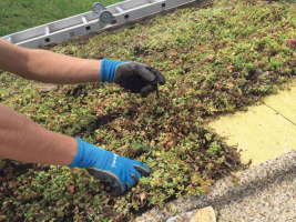 Realizace vegetační střechy (zdroj: ISOVER)