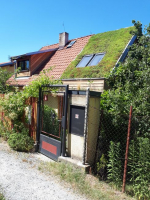 Vítězná vegetační střecha roku 2019 (zdroj: ISOVER)