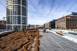 Vegetační substrát. Na rozvinutú hydroakumulačnú a drenážnu fóliu DELTA®- FLORAXX TOP sa priamo aplikoval strešný substrát
