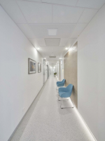 Klinika IVF Praha (zdroj: Rigips)