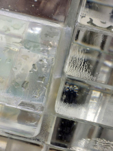 Obr. 11: Detail fasády Crystal House – vzduchové mezery ve vrstvě lepidla