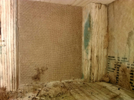 Plesne vo vnútri panela