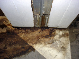 Obr. č. 1: Spodní tlaková voda vytékající z dilatační spáry. V případě, že jako výplň dilatační jsou použity vyhnívající materiály, tyto materiály opravdu postupně vyhnívají a vytékají do interiéru