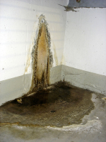 Obr. č. 2: Bodové projevy pronikání vlhkosti a vody do interiéru