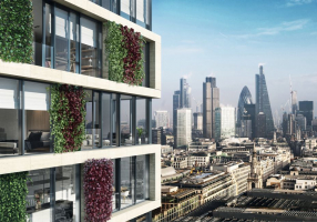 Místo výsadby zeleně do země nabízí zelená fasáda Schüco AF UDC 80 řešení, kdy rostliny rostou přímo na fasádě (zdroj: Schüco CZ)