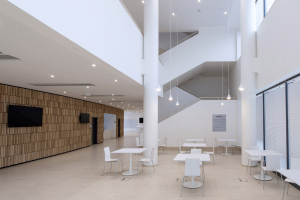 Vstupní hala v 1. NP se širokým schodištěm