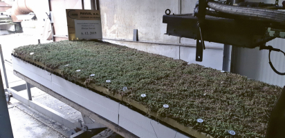 Kompletní vzorek před zkouškou