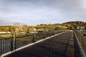 Volbou dřeva azobe pro mostovku bylo možno snížit jeho množství na minimum. Na Trojské lávce bylo toto dřevo využito nejen pro své technické vlastnosti, ale i pro svou estetickou kvalitu
