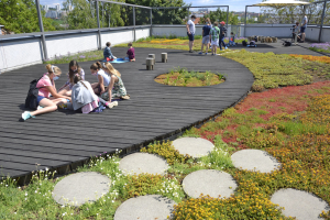 Zelená střešní učebna na základní škole, Ostopovice