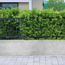 Ukázka realizace s využitím Baumit ALL IN Betonu B 20