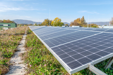 Bisolární zelená střecha – městské dílny Graz (foto: Achtzigzehn Jane)