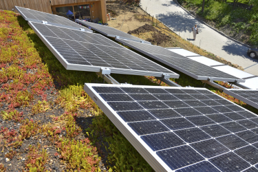 Bisolární zelená střecha Ekocentra Na Pasece ve Zlíně-Velíkové: kombinace FV panelů a rozchodníkových koberců (foto: szuz)