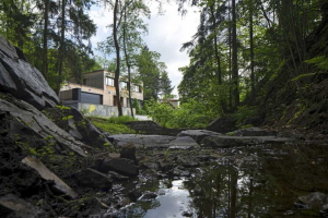 Dům stojí na konci ulice u lesoparku. Architekt proto maximálně propojil interiér s exteriérem. Na projektu spolupracoval se zahradními architektkami, aby oba tyto světy provázali co nejlépe