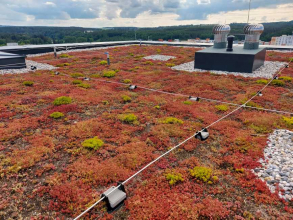 Extenzivní střecha na panelovém domě v Táboře / Zelené střechy pro lepší hospodaření s dešťovou vodou