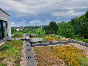 Pobytová střecha v Horních Bludovicích / Zelená střecha jako obraz za okny