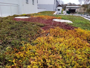 Extenzivní zelená střecha na ZŠ Václavovice