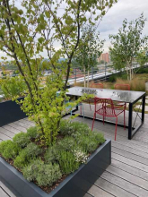 IQ OSTRAVA / Střešní zahrady s výhledem na vysoké pece