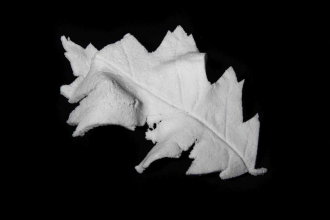 Porous Glass Plasticine – sklokeramická porézní pěna