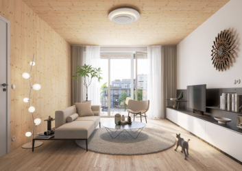 Radlický Dřevák - vizualizace