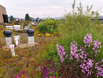 Dada District – zelená střecha objektu zastává funkci komunitní zahrady, pomáhá zadržovat dešťovou vodu a podporuje biodiverzitu. První část střechy je okrasná s trvalkovými záhony, druhá pěstební, na které je 10 vyvýšených záhonů, v nichž si majitelé jednotlivých bytů mohou pěstovat bylinky, zeleninu nebo drobné ovoce.