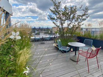 Zelené střešní terasy kancelářského komplexu IQ Ostrava v 8. a 9. patře objektu převážně slouží k relaxačním účelům. Zároveň umožňují návrat přírody do centrální části Ostravy: různorodá flóra – listnaté stromy, ovocné keře, popínavé rostliny, trvalky a rozchodníky – poskytuje útočiště ptactvu a hmyzu.