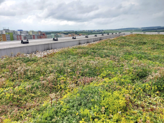 Extenzivní zelená střecha panelového bytového domu na sídlišti v Brně-Bohunicích