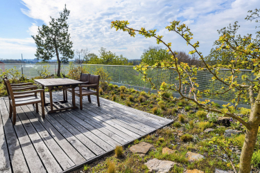 Zelená střecha v druhém patře administrativní budovy ředitelství Zoo Praha byla založena s využitím principu sukcese.