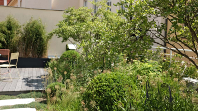 Truhlářská – Střešní zahrada ve vnitrobloku