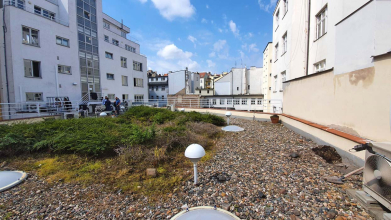 Truhlářská – Střešní zahrada ve vnitrobloku