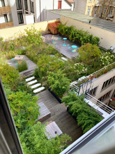 Truhlářská – Střešní zahrada ve vnitrobloku