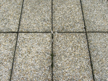 Obr. 19: Nedopalky cigaret ve spárách dlažby na podložkách na veřejně přístupné terase