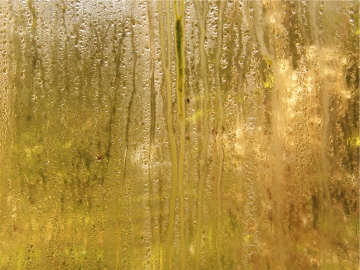 Obr. 4: Povlak řas na skle