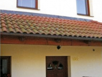 Obr. 6: Řasy na nevětrané krytině, sever