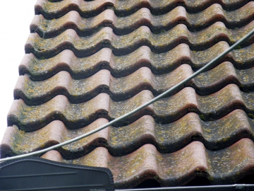 Obr. 9: Lišejník na betonové krytině