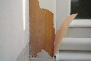 Chybné technologické postupy při rekonstrukcích oken a dveří