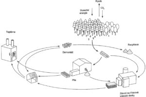 Ekologické výhody dřeva