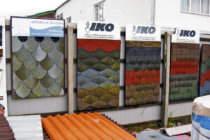 Řasy, lišejníky a mechy na střechách