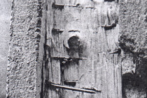 Navrhování kompozitních dřevobetonových stropů