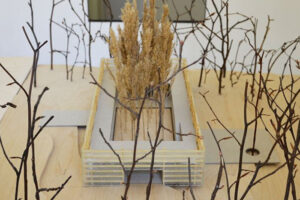 Jablonec chystá přestavbu Slunečních lázní – do konce září je možné posílat radnici připomínky k projektu