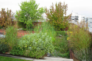 Soutěž Zelená střecha roku 2014 – výsledky