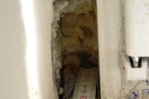 Je možné provádět připojovací spáru oken a dveří jenom jednosložkovou polyuretanovou pěnou?