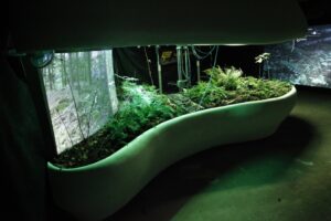 Český les v podobě „Laboratoře ticha“ pro instalaci na EXPO 2015 v Miláně