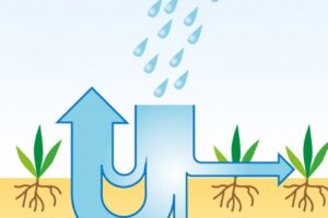 Vsakovací systém X-Box není jen vsakování