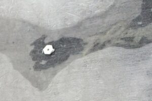 Ozeleněná střecha školy v Ostopovicích s fólií DELTA-FLORAXX TOP