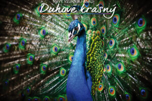 Cemix představuje nový barevný vzorník omítek a nátěrů