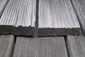 Poškození dřevěných konstrukcí biotickými a atmosférickými činiteli