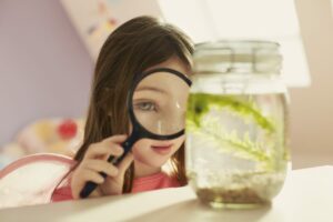 Světlovody a světlíky VELUX pro přirozené osvětlení prostorů bez oken