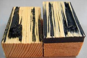 Nosné konstrukce ze skla a dřeva