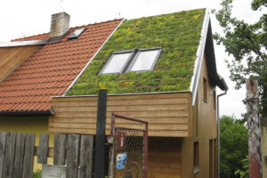 Možnosti zelených střech Isover