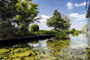 Výsledky soutěže Zelená střecha roku 2017